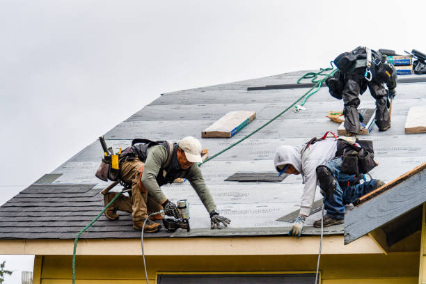 Professional Gutter Installation technician working in Lorton, NE